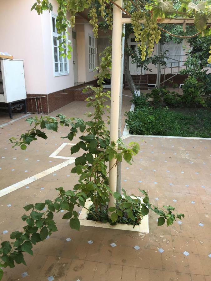 Munis Hotel Szamarkand Kültér fotó